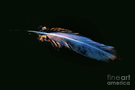 Magic feather blue7